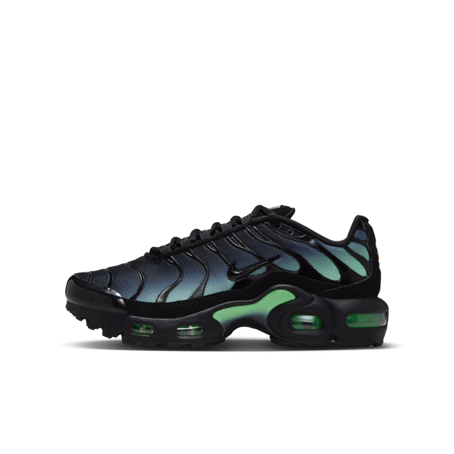 Nike Air Max Plus Older Kids'