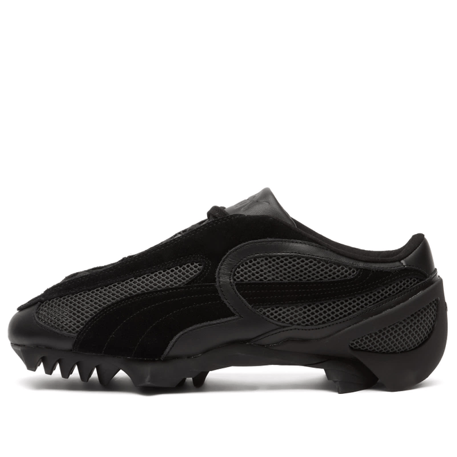 Puma Beisser
