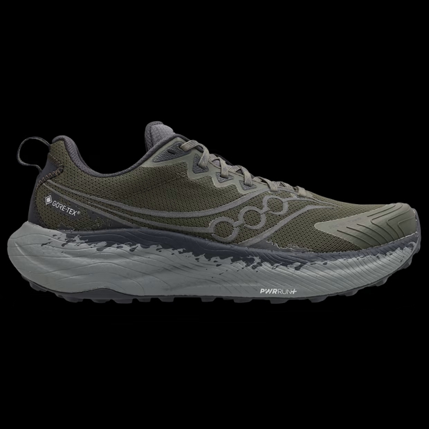 Saucony Ride Tr3 Gtx 'Silver'