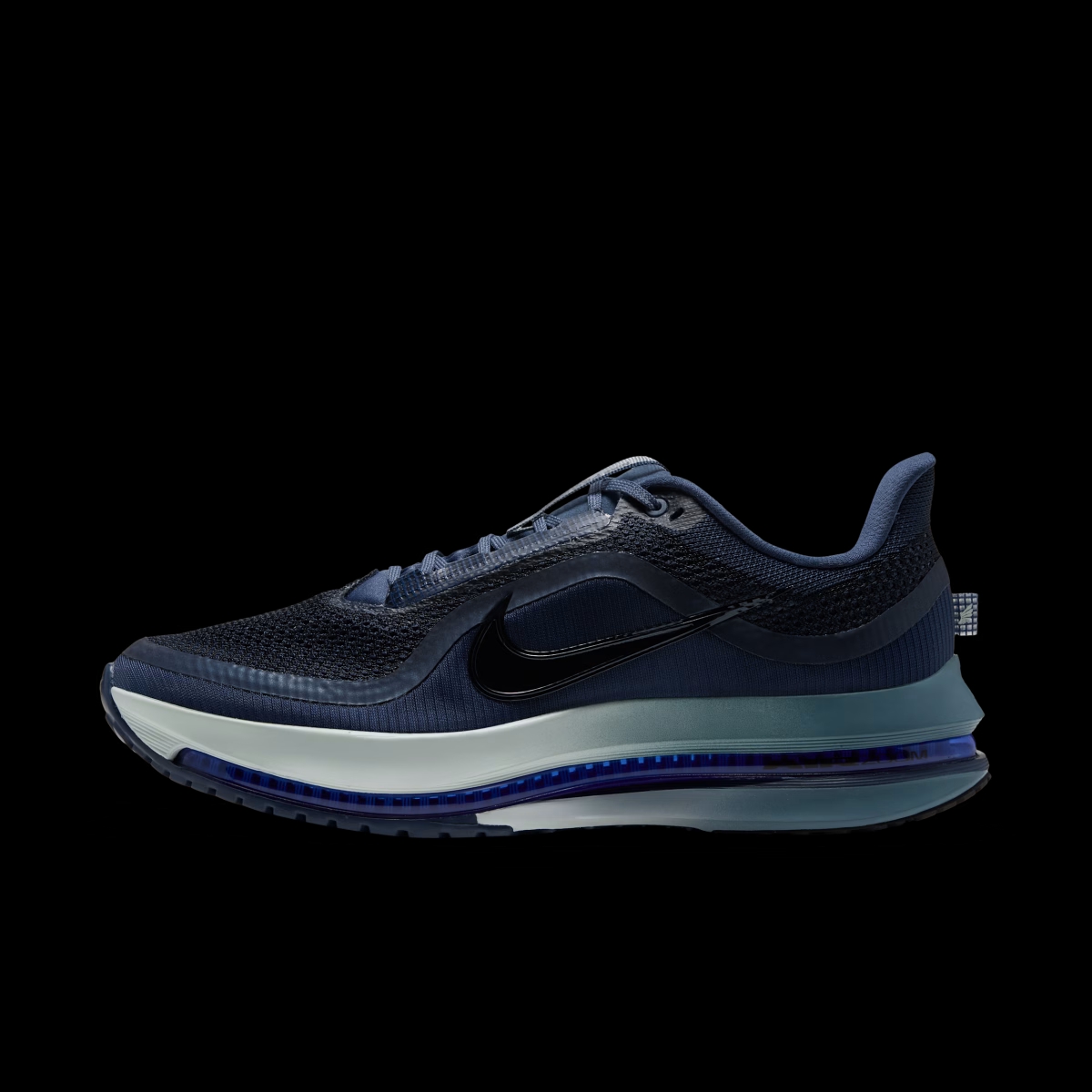 Nike Pegasus Premium 'Blue'