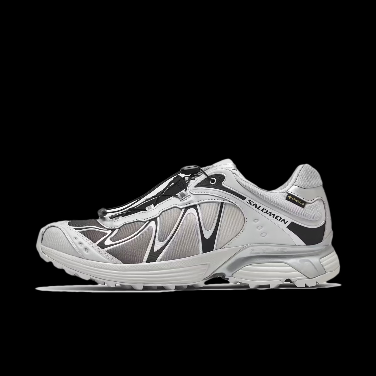 Salomon XT-Whisper GTX 'Gray Violet'