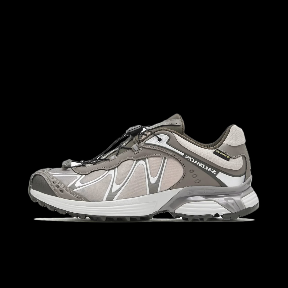 Salomon XT-Whisper GTX 'Iron'