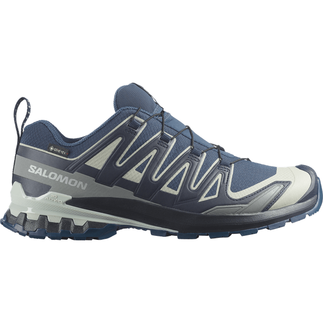 Salomon Xa Pro 3d V9 Gtx