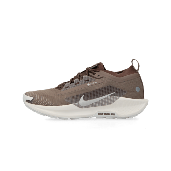 Nike Pegasus Trail 5 Gore-Tex SP mink brown