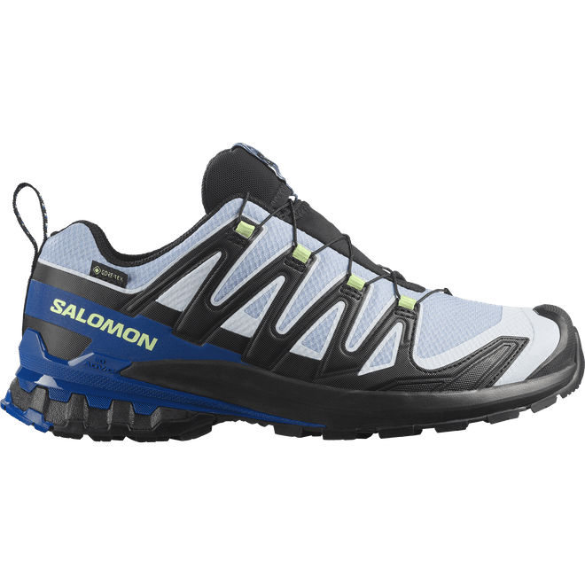 Salomon Xa Pro 3d V9 Gtx Icon