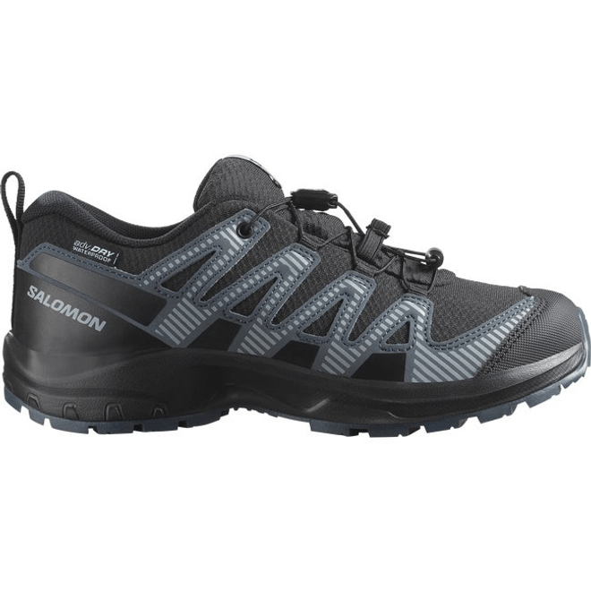 Salomon Xa Pro V8 Waterproof Black