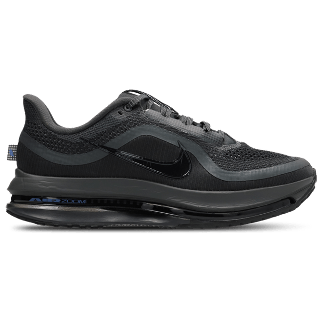 Nike Pegasus Black