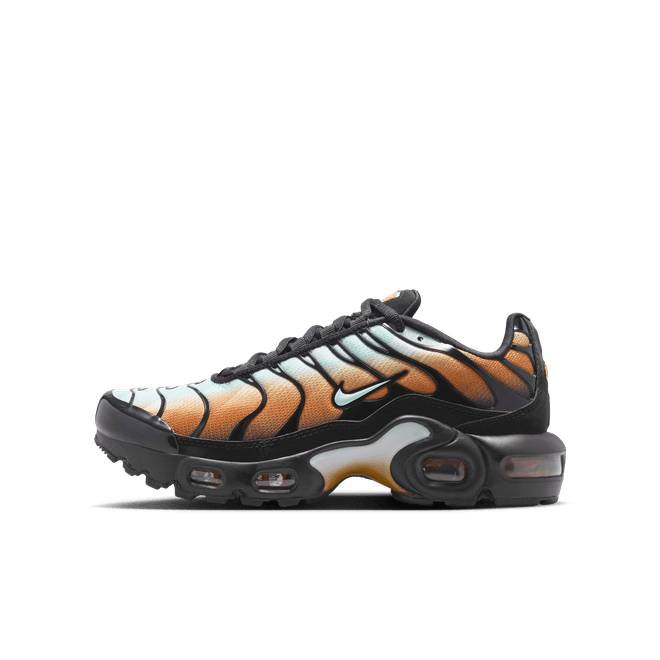 Nike Air Max Plus SE Older Kids'