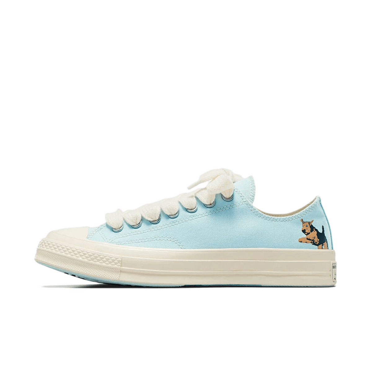 Golf Le Fleur x Converse Darryl Chuck 70 'Cooling Oasis'