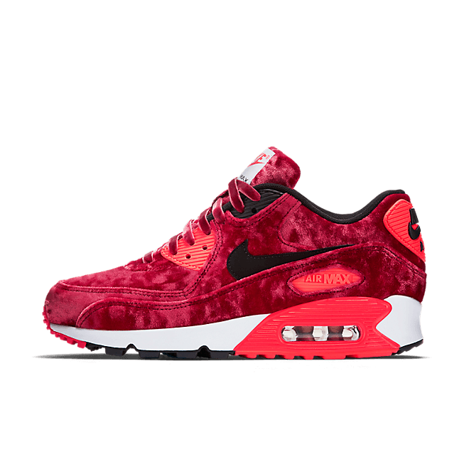 Nike Air Max 90 Anniversary