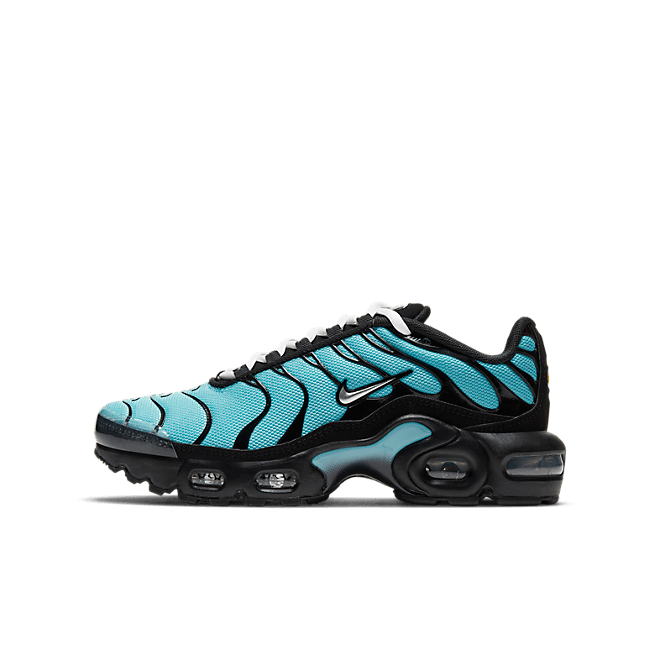 Nike Air Max Plus