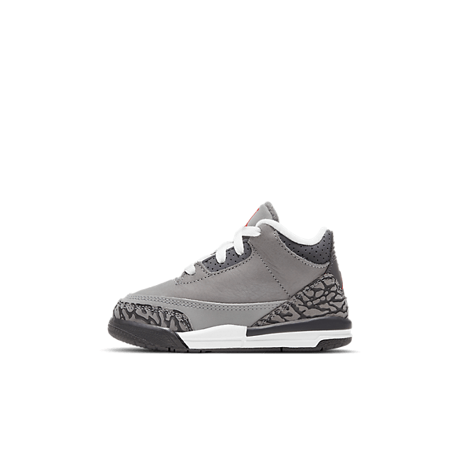 Jordan 3 Retro Cool Grey (TD)