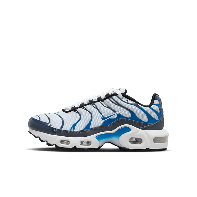 Nike Air Max Plus Big Kids'