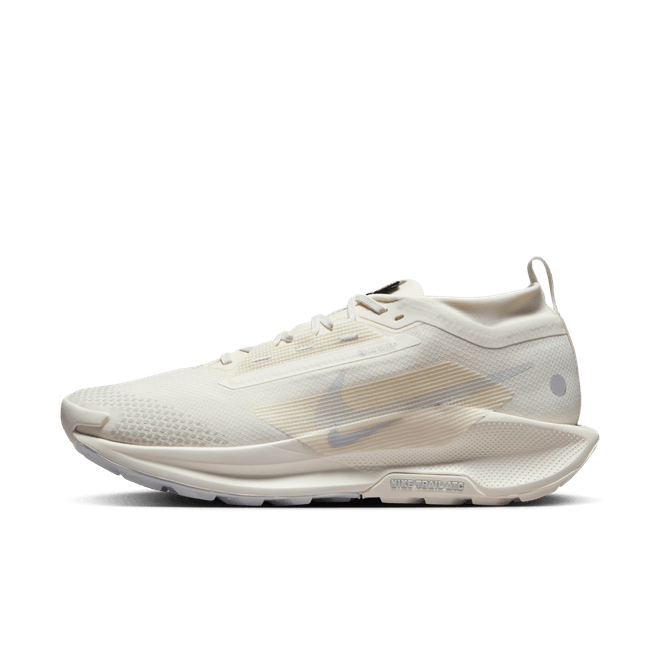 Nike Pegasus Trail 5 GORE-TEX 'Photon Dust' 