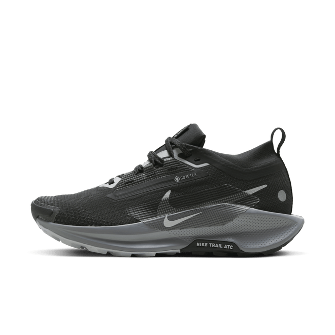 Nike Wmns Pegasus Trail 5 5 GORE-TEX 'Black Wolf Grey' 