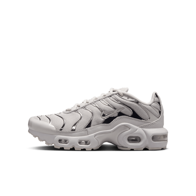 Nike Air Max Plus Big Kids'