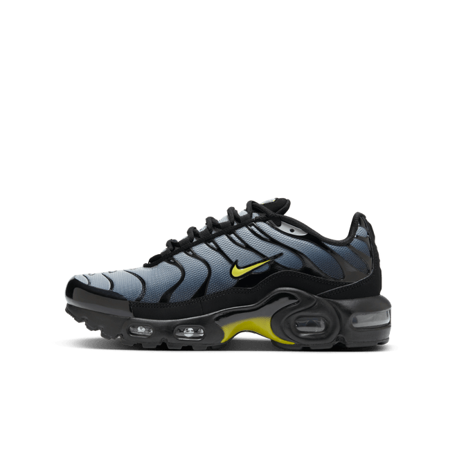 Nike Air Max Plus Older Kids'