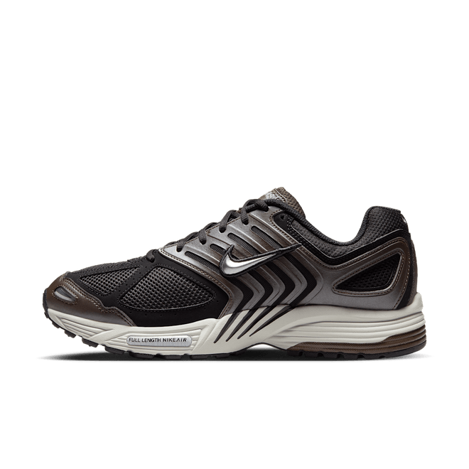 Nike Air Pegasus 2005