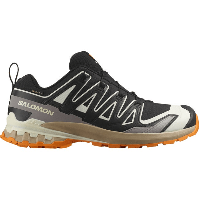 Salomon Xa Pro 3d V9 Gore-tex Black 