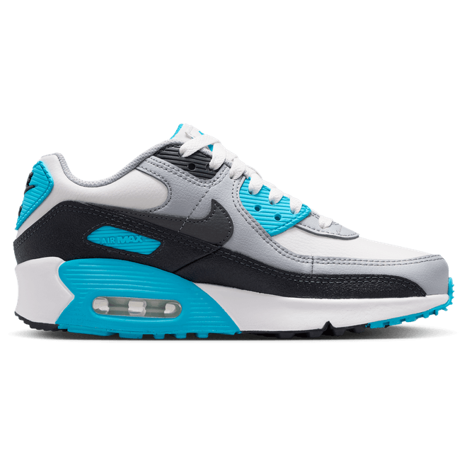 Nike Air Max 90