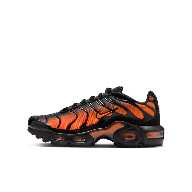 Nike Air Max Plus Older Kids'