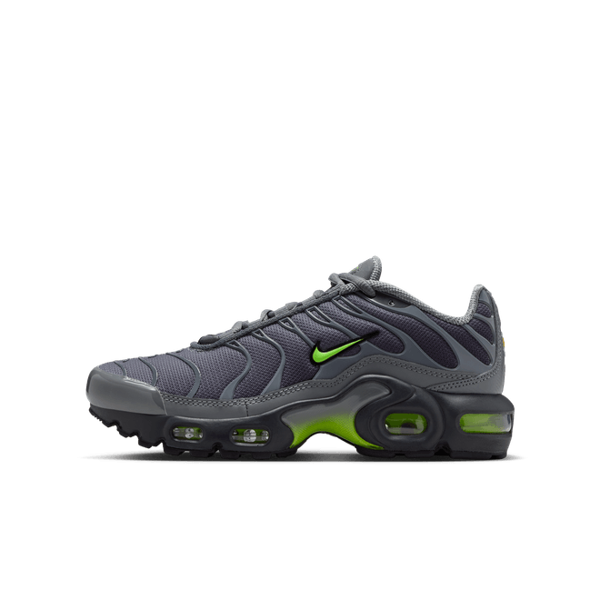Nike Air Max Plus Older Kids'