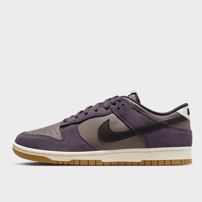 Nike Dunk Low Retro SE 