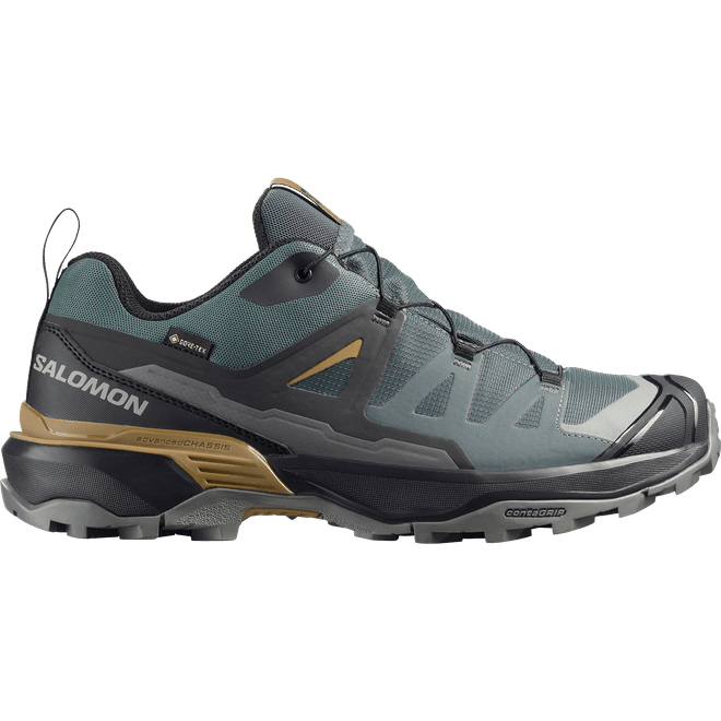 Salomon X Ultra 360 Gtx 