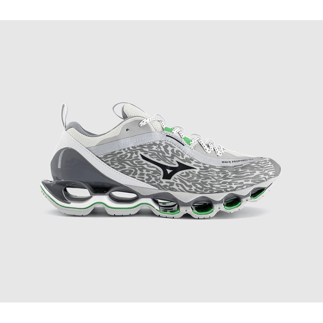 Mizuno Wave Prophecy 13.2