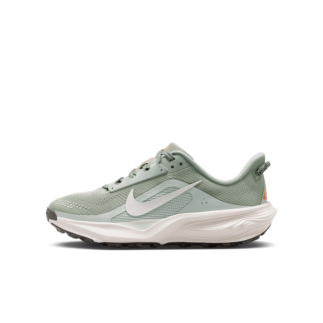 Nike ACG Pegasus Trail Older Kids'