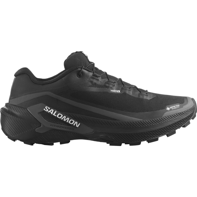 Salomon Genesis 2 Gtx 
