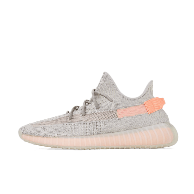 adidas Yeezy Boost 350 'True Form'