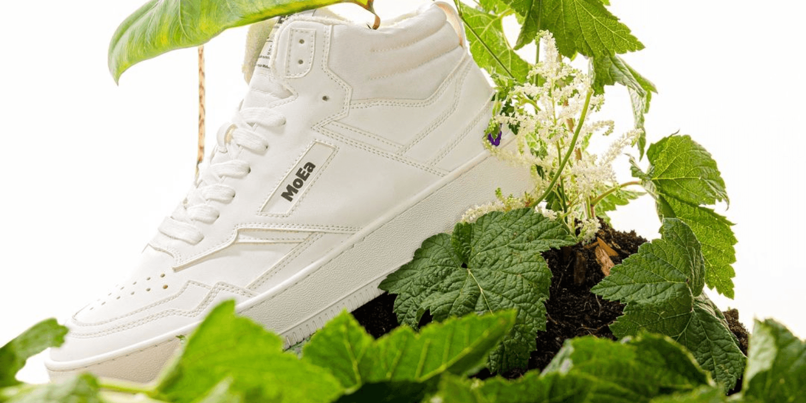 white moea sneakers on plant