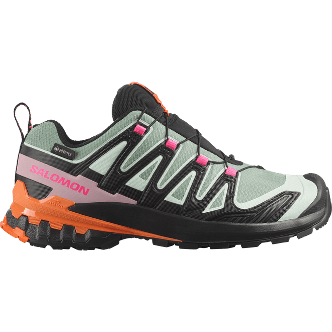 Salomon Xa Pro 3d V9 Gtx Icon W