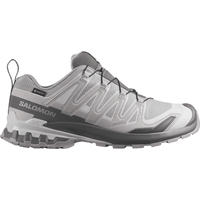 Salomon Xa Pro 3d V9 Gtx