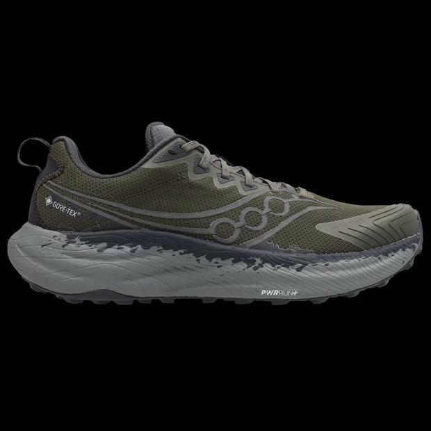 Saucony Ride Tr3 Gtx 'Silver'