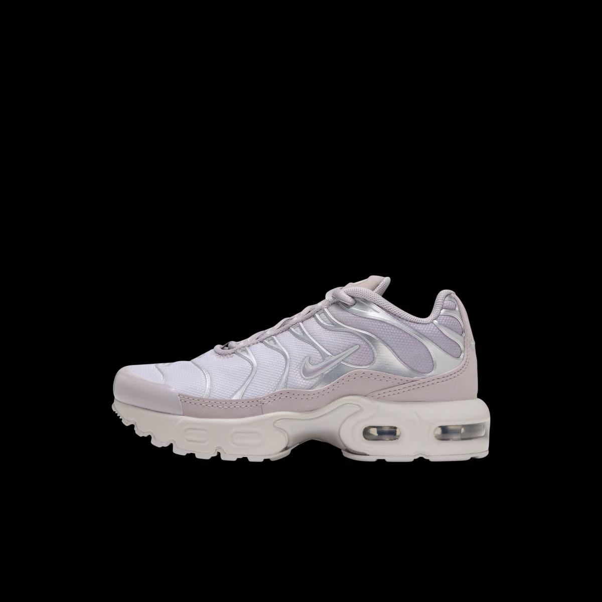 Nike Air Max Plus 'Gray'