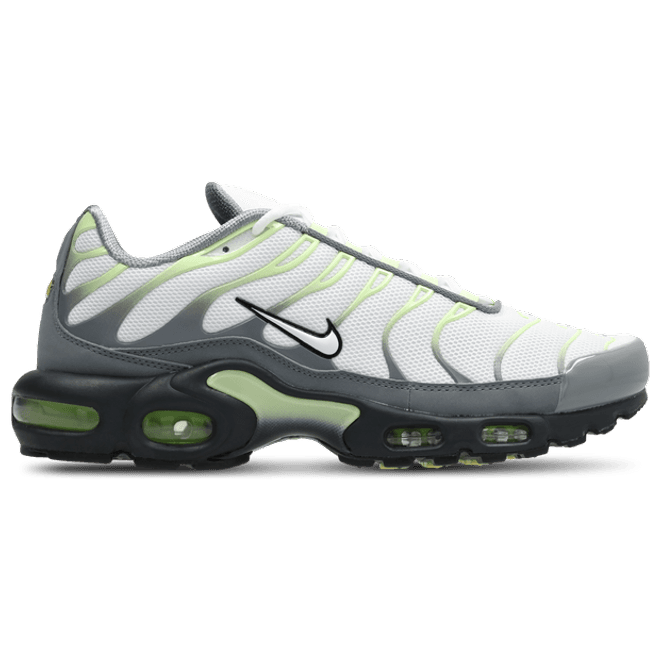 Nike Tuned Grey