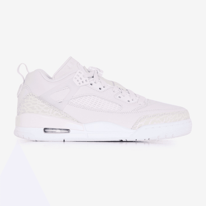 Jordan Spizike Low