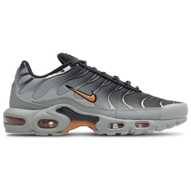 Nike Tuned Grey