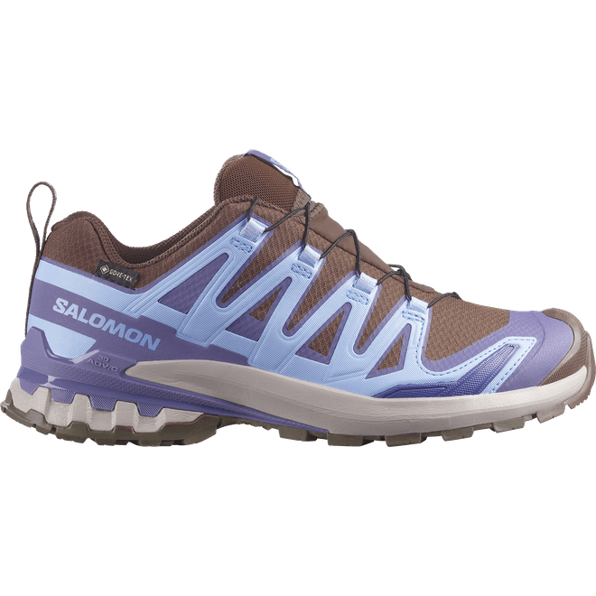 Salomon Xa Pro 3d V9 Gtx W
