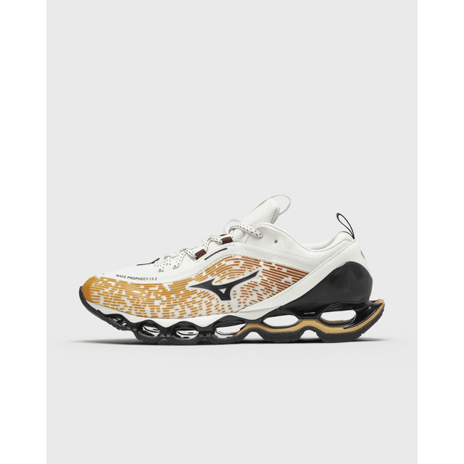 Mizuno Wave Prophecy 13.2