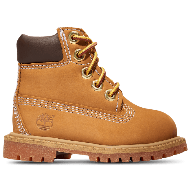 Timberland Waterproof 6" Boots