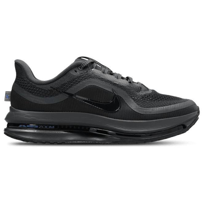 Nike Pegasus Black