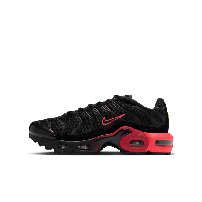 Nike Air Max Plus Older Kids'