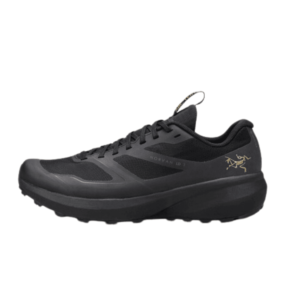 Arc'teryx Norvan LD 3 GTX Shoe Men's