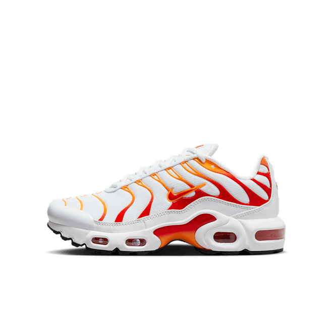 Nike Air Max Plus