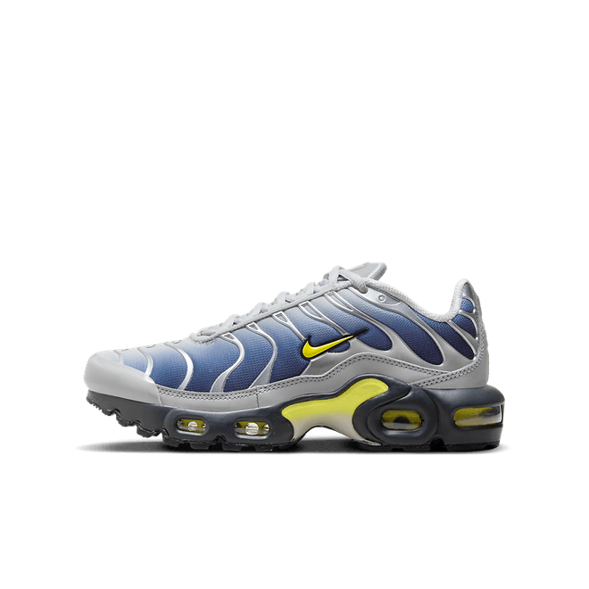 Nike Air Max Plus Older Kids'