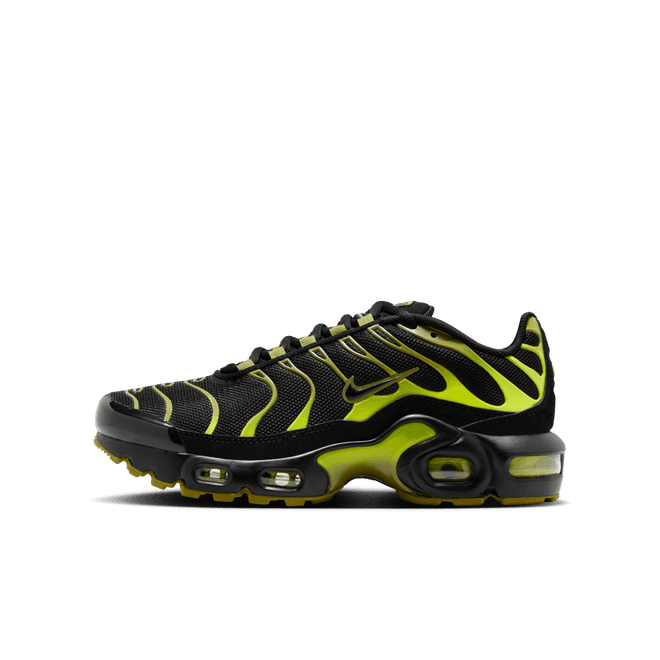 Nike Air Max Plus Older Kids'