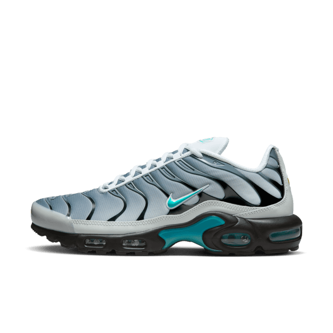 Nike Air Max Plus One Block Down Matte Silver